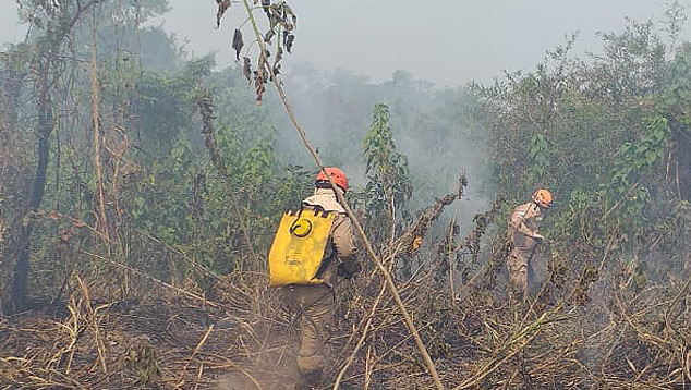 Bombeiros combatem focos de fogo em Corumb, MS. Municpio na regio do Pantanal teve 126 focos nas ltimas 48 horas pelo monitoramento do INPE. Crdito: Divulgao Corpo de Bombeiros.