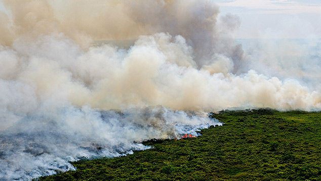 Grande queimada no pantanal  registrada em 17 de agosto de 2020. Crdito: Foto Mayke Toscano/Secom-MT/Fotos Pblicas. 