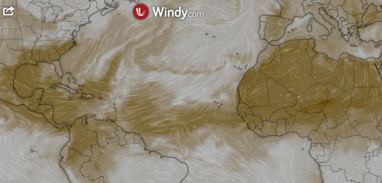 A grande mancha marrom indica a massa de poeira que cobre o Deserto do Saara e se estende at o Golfo do Mxico. Crdito: Windy. 