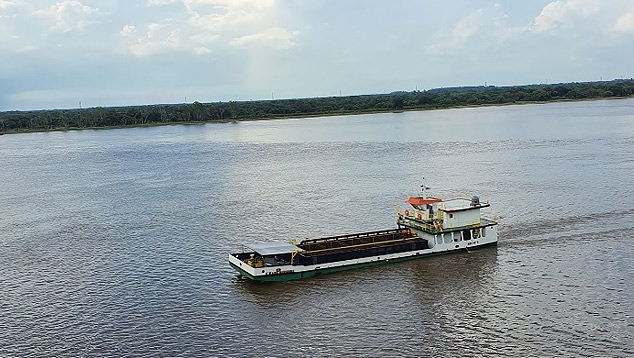 Imagem do Rio Paraguai do Mirante Ita Pyta Punta em janeiro de 2020. Crdito: Foto divulgada por Csar Silva. 