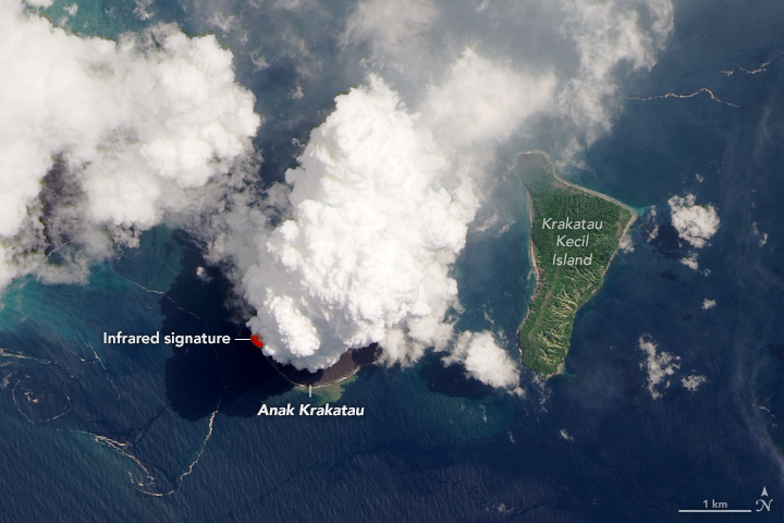 Imagem de satlite em cor natural mostra a grande pluma vulcnica acima do pico do vulco Anak Krakatoa, aps intensa atividade no ltimo fim de semana. Crdito: NASA. 
