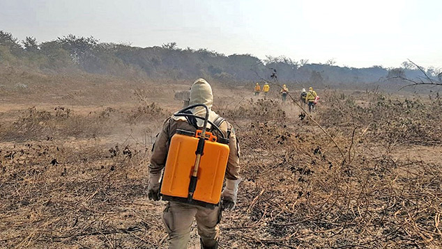 Bombeiros combatem incndios no pantanal em 2020. Crdito: Arquivo/Divulgao Corpo de Bombeiros de Mato Grosso do Sul. 