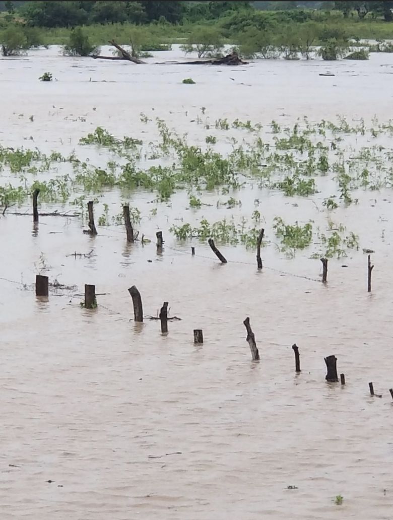 Rio subiu muito e provocou enchente na metade norte de Nayarit. Crdito: Imagem divulgada pelo twitter @babydiabla