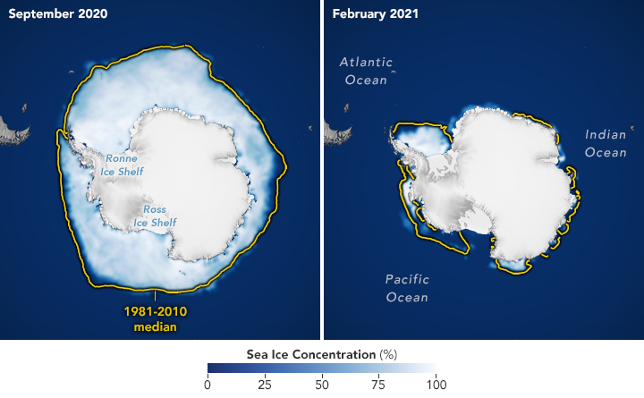 Os mapas mostram a extenso mdia do gelo marinho da Antrtica para setembro de 2020 (esquerda) e fevereiro de 2021 (direita), perodo do mximo e mnimo de gelo em todo o continente. Crdito: NASA.