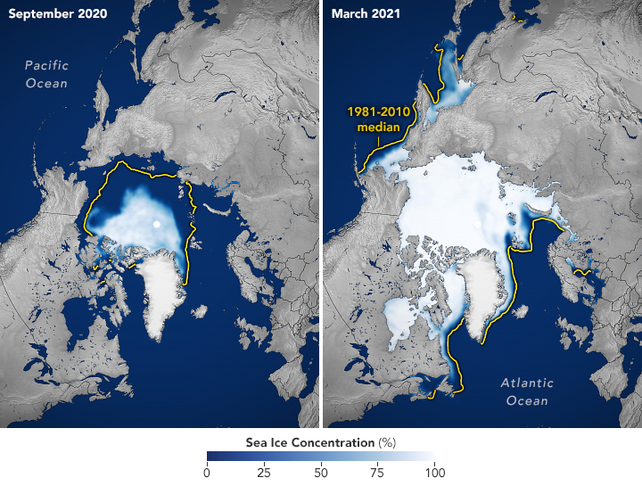 Os mapas mostram a extenso mdia do gelo marinho do rtico para setembro de 2020 (esquerda) e maro de 2021 (direita), meses em que a regio atinge sua cobertura anual mnima e mxima de gelo. Crdito: NASA.