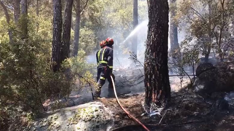 Bombeiros combatem incndios florestais na Espanha que aumentaram desde o fim de semana. Crdito: Imagem divulgada pelo twitter @112cmadrid