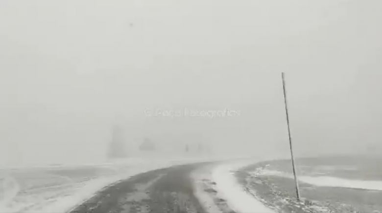 Estrada com baixa visiblidade por causa da neve na regio da Serra da Estrela na tera-feira, dia 23. Crdito: Imagem divulgada pelo twitter Gonalo Poo/@MeteoTransMontPT