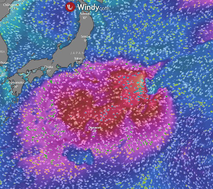 Mapa mostra os swell provocados pela passagem de Malou no lado leste do Japo. Crdito: WINDY