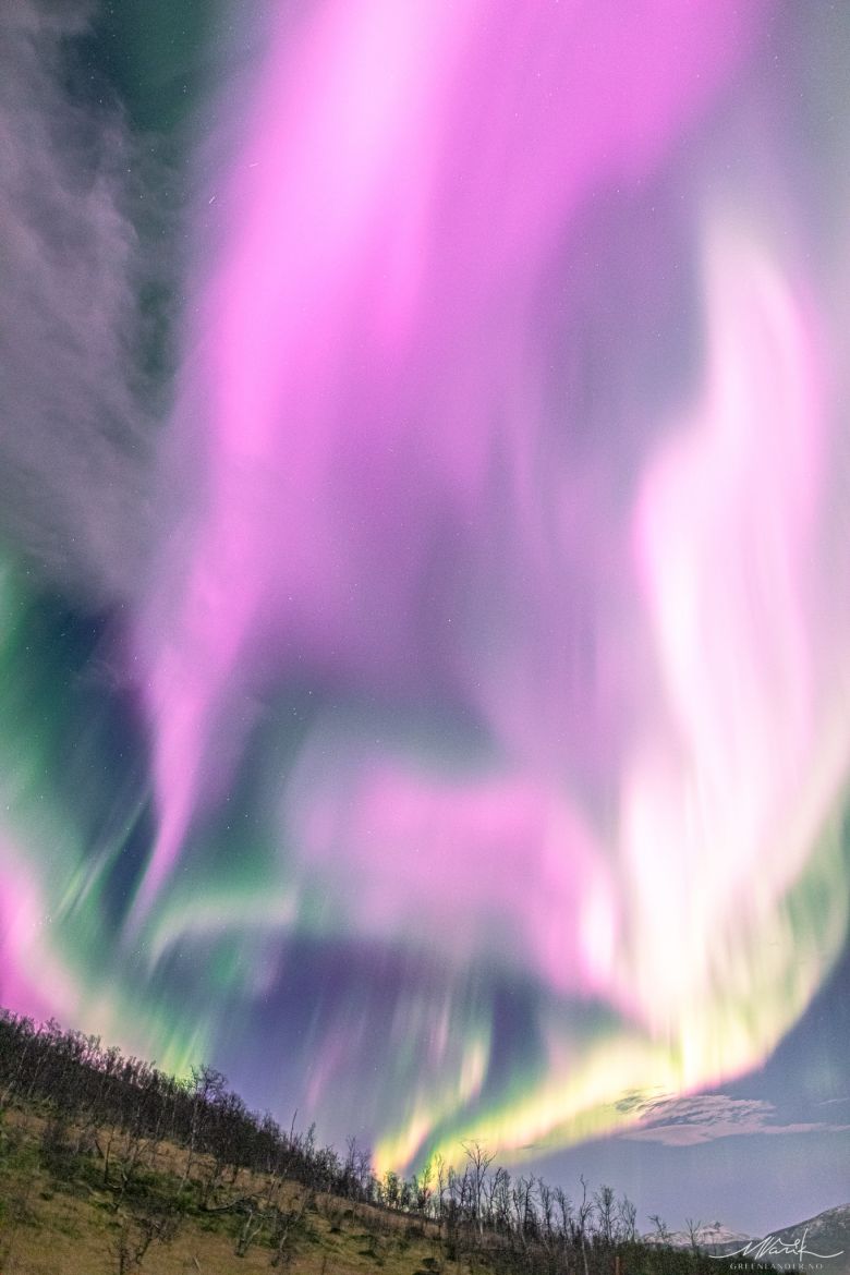 Aurora rosa de forma no ce do norte da Noruega em 2 de novembro. Crdito: Markus Varik, reproduo pgina facebook Greenlander Tromso  
