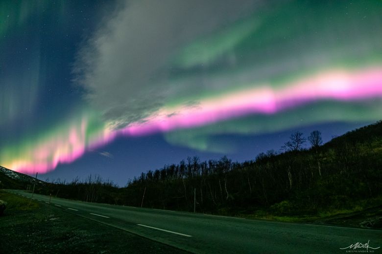 Auroras em tons rosa e roxo se formaram no comeo de novembro no norte da Noruega. Crdito: Markus Varik, reproduo pgina facebook Greenlander Tromso  