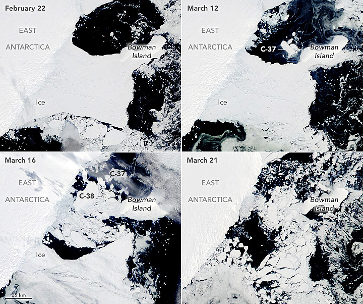 Sequncia de imagens de satlite mostram o completo colpaso da plataforma de gelo, na regio da Ilha Bowman, na Antrtida Oriental. Crdito: NASA