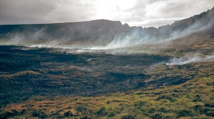 Incndio registrado na Ilha de Pscoa no comeo de outubro danificou dezenas de Moais. Crdito: Divulgao pelo twitter @BorisvanderSpek