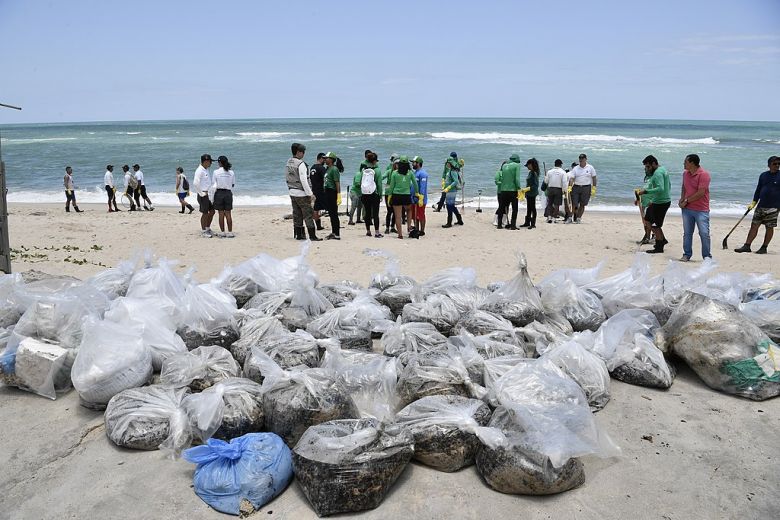 Voluntrios trabalham na limpeza das praias atingidas por petrleo cru em Alagoas em julho de 2019. Crdito: Divulgao Senado Federal