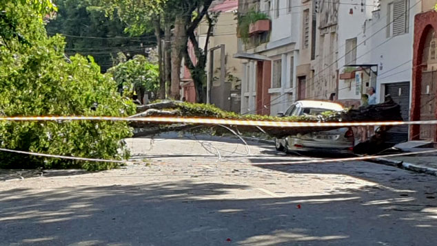 rvore cai sobre carro em rua da Vila Mariana, zona sul da cidade de So Paulo. Centenas de rvores caram em toda a capital. Crdito: Painel Global  