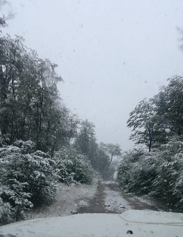 Neve registrada no Ushuaia em 15 de fevereiro pela primeira vez este ano. Crdito: Divulgao pelo twitter @angelfrestdf  