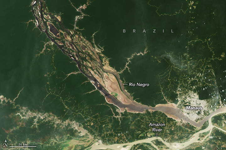 Seca do rio Negro observada por imagem de satlite em 3 de outubro de 2023. Crdito: Earthobservatory/NASA 