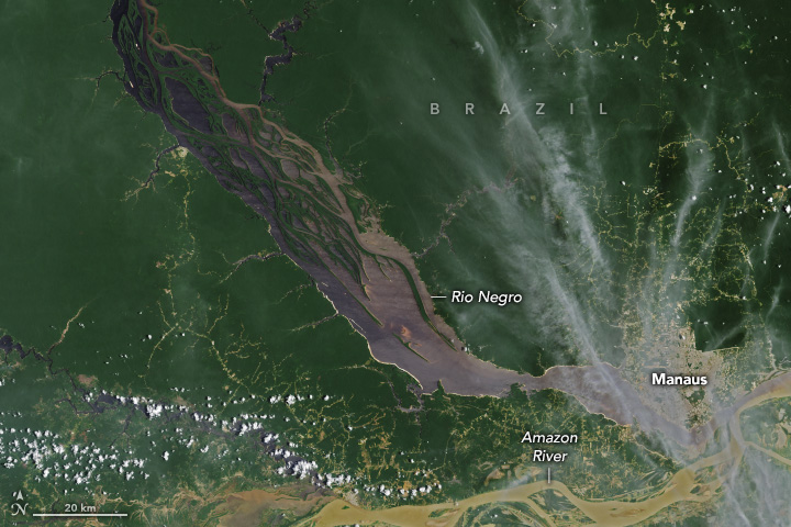 Imagem de satlite mostra situao do rio Negro, no Amazonas, em 8 de outubro de 2022, quando as guas estavam em nvel normal. Crdito: Earthobservatory/NASA