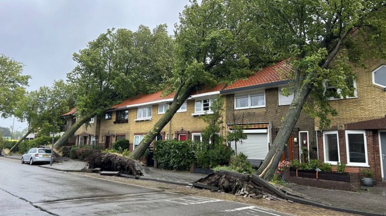 Diversas rvores foram arrancadas pelos ventos intensos da tempestade de vero Poly em Haarlem, na Holanda. Crdito: Divulgao via twitter @m ade lei ne 