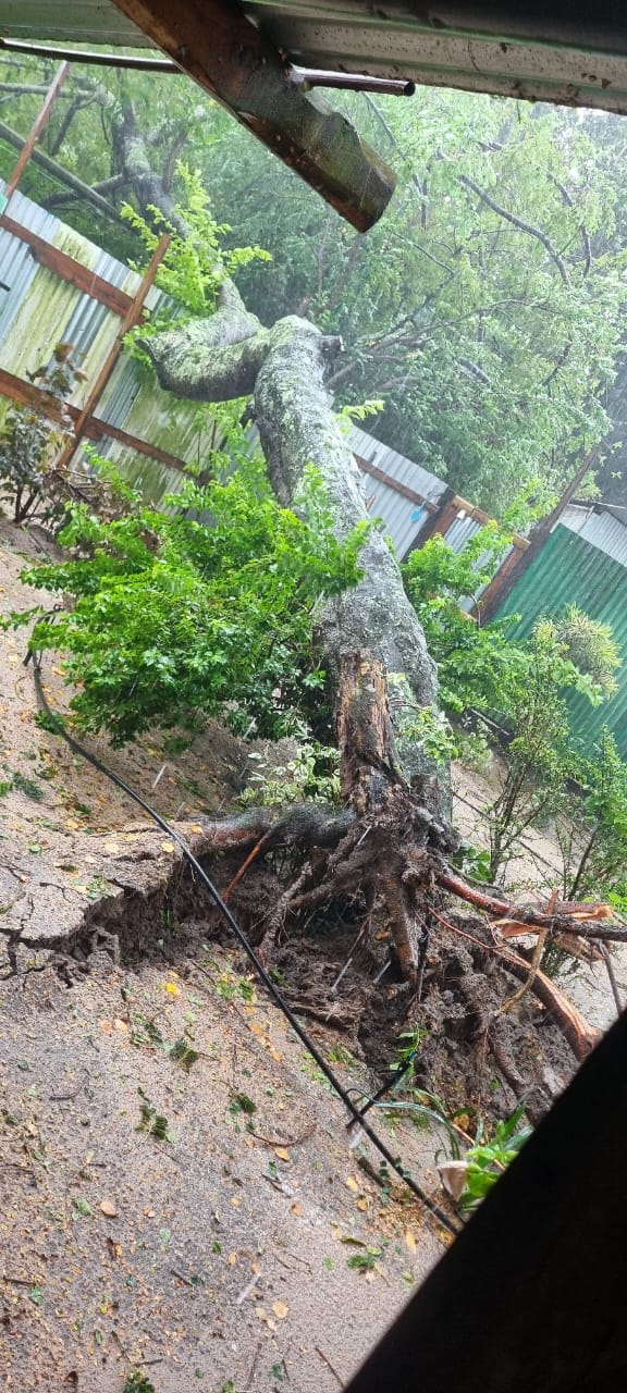 Ventos intensos do ciclone Filipo provocaram destruio em Sodwana Bay, na frica do Sul. Crdito: divulgao Marius Liefbroer via facebook.com/groups/swaicsa/ 