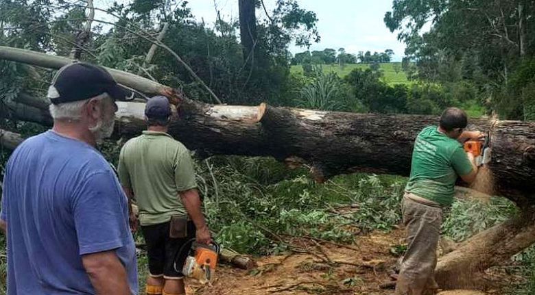 Tornado  confirmado em So Sep, no interior do Rio Grande do Sul. Crdito: divulgao Prefeitura de So Sep