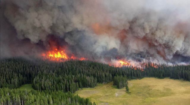 Incêndios florestais na Sibéria já consumiram pelo menos 3 milhões de hectares. Foto: Divulgação Twitter @N Parshukov