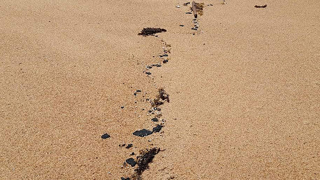 Fragmentos de óleo encontrados em São Mateus, no norte do Espírito Santo, há 10 dias. As manchas de petróleo cru já atingem praias da região metropolitana de Vitória. Crédito: Marinha do Brasil/Divulgação.