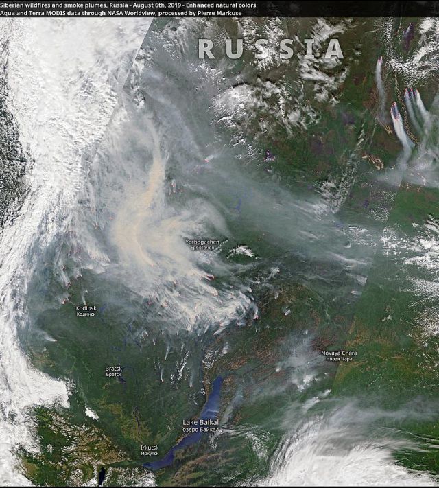 Imagem mostra os incêndios florestais siberianos e as plumas de fumaça, capturada neste dia 6 de agosto. Crédito: NASA - satélite Aqua e Terra MODIS.   