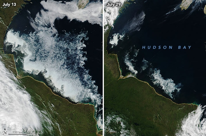 Imagens de satélite da Nasa comparam a quantidade de gelo marinho na Baía de Hudson entre os dias 13 e 19 de julho. Este ano a área de gelo está mais generosa beneficiando os ursos polares. Crédito: Earthobservatory/NASA.