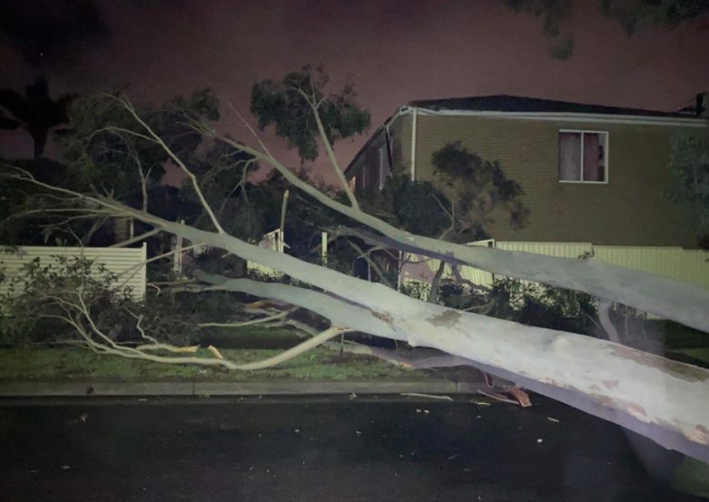 Tempestade derruba �rvores em Sydney esta semana. Cr�dito: Imagem divulgada pelo twitter @greenneversells