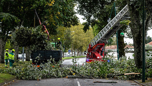 Depress�o Alex provoca quase 50 queda de �rvores em Portugal nesta sexta-feira. Cr�dito: Imagem divulgada por Jornal do Centro.  