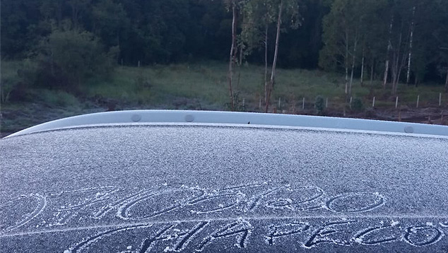 Geada nesta manh em Chapec, no oeste de Santa Catarina. 14 cidades amanheceram com temperaturas abaixo de zero grau. Crdito: Foto divulgada pelo twitter @Piter Scheuer<BR>