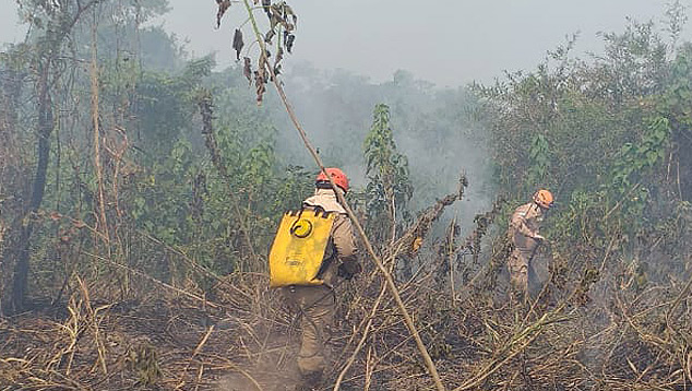 Bombeiros combatem focos de fogo em Corumb�, MS. Munic�pio na regi�o do Pantanal teve 126 focos nas �ltimas 48 horas pelo monitoramento do INPE. Cr�dito: Divulga��o Corpo de Bombeiros.