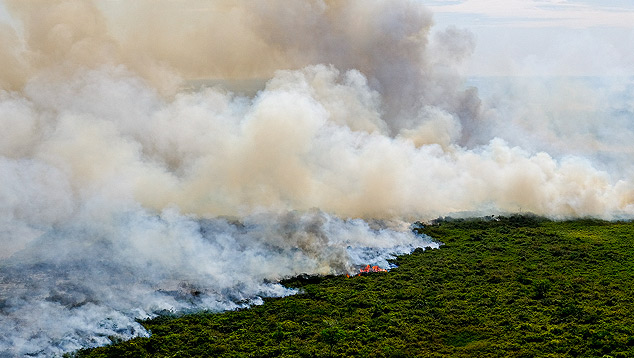 Grande queimada no pantanal � registrada em 17 de agosto de 2020. Cr�dito: Foto Mayke Toscano/Secom-MT/Fotos P�blicas. 