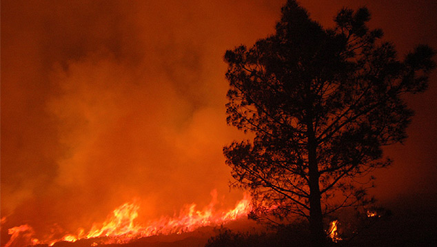 Cinco grandes incêndios se espalham pelas matas e florestas em áreas de Portugal nesta quinta-feira. Crédito: Imagem divulgada pelo Instituto de Conservação da Natureza e Florestas. 
