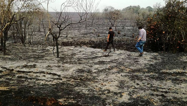 Centenas de incêndios se propagam pelo Paraguai. Crédito: Imagem divulgada pelo twitter do Ministério Público do Paraguai. @MinPublicoPy 