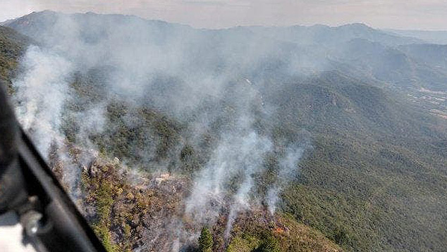 Inc�ndio em mata de Santa Catarina este m�s. Estado teve aumento de 679% no n�mero de focos de fogo at� 19 de maio comparado com o mesmo per�odo do ano passado. Cr�dito: Corpo de Bombeiros Militar de Santa Catarina.