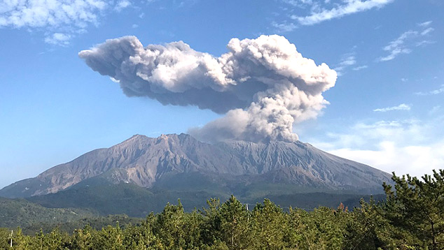 Monte Sakurajima entrou em forte erupção no dia 9 lançando uma extensa pluma de cinzas. Crédito: Imagem divulgada pelo twitter @MeteoVolcanica<BR>