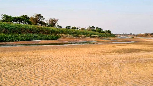Rio Paraguai atinge seu pior n�vel em 51 anos. Cr�dito: Regi�o do riacho S�o Francisco quase seco. Imagem de divulga��o.