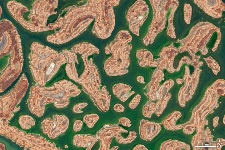 Detalhe do Lago Carnegie com água, após temporada de tempestades na Austrália Ocidental. Crédito: NASA.
