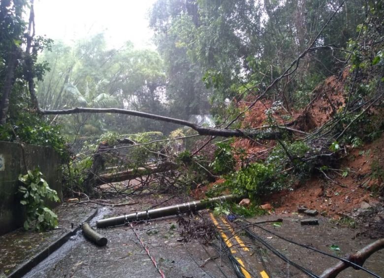 Estrada da Gávea interditada por queda de árvore após chuvas fortes da terça-feira. Crédito: Imagem divulgada pelo twitter @OperacoesRio