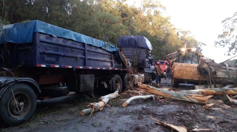 Vendaval derruba eucalipto de grande porte sobre caminhão na BR-153, em Concórdia, SC, na tarde de terça-feira. O motorista se feriu. Crédito: Imagem divulgada pela Rádio Rural.  