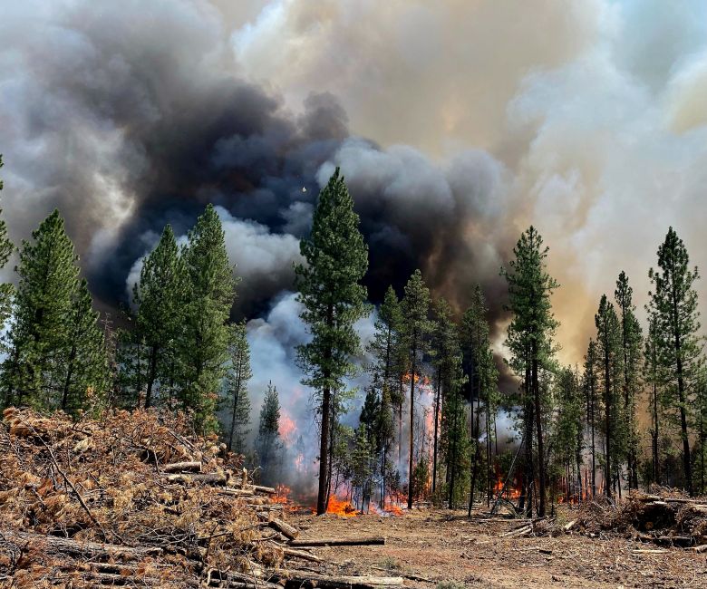 O Bootleg Fire é o maior incêndio florestal dos EUA registrado até o momento nesta temporada. O fogo já consumiu 121 mil hectares. Crédito: Imagem divulgada pelo twitter oficial @BootlegFire 