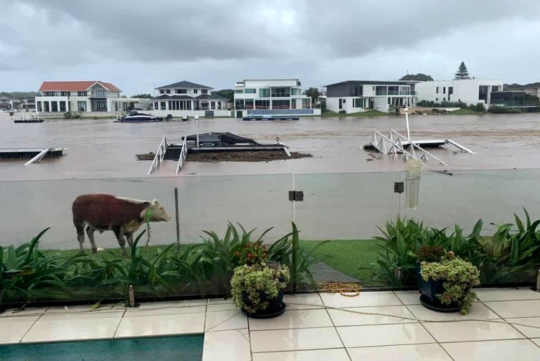 Morador de Port Macquarie registrou a inundação em sua região no último sábado, dia 20. Crédito: Imagem divulgada pelo twitter @jasongroves