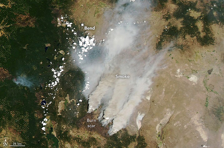 Imagem de satélite mostra grandes plumas de fumaça do Bootleg Fire, o maior incêndio atualmente nos EUA. Crédito: NASA