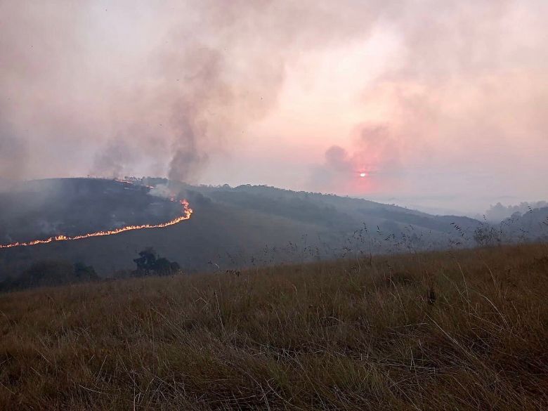 Incêndio continua fora de controle no Parque Estadual do Juquery nesta segunda-feira. Crédito: Imagem divulgada no twitter pela Prefeitura de Franco da Rocha @prefdefranco