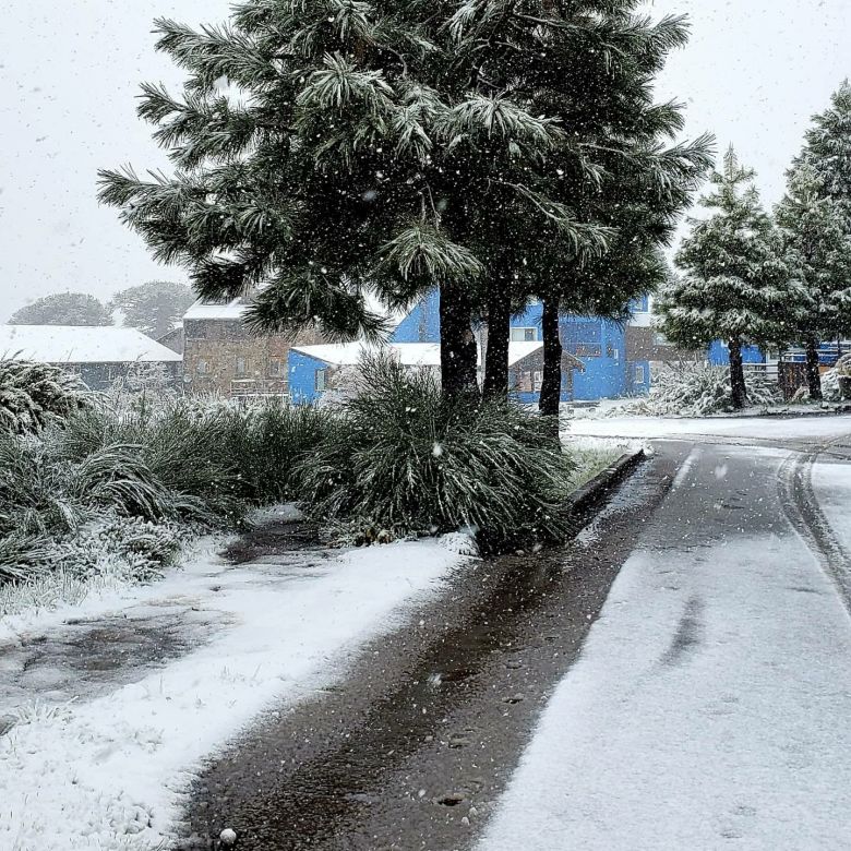 Flocos de neve ca�ram sobre as prov�ncias do norte da Patag�nia em 15 de novembro, �poca pouco esperada para o fen�meno. Cr�dito: Imagens divulgdas pelo twitter @velecaviahue