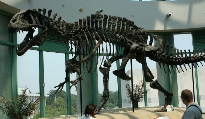 Imagem ilustrativa do esqueleto de um Acrocanthosaurus. Crdito: Museu Nacional de Cincias, na Carolina do Norte/Wikipedia   