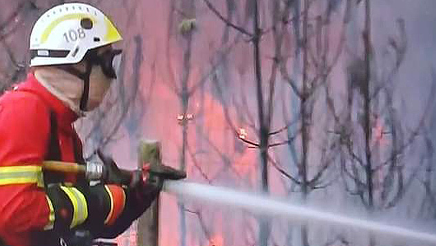 Portugal continental est� sob alerta vermelho de tempo quente e alto risco de inc�ndios. Cr�dito: Prote��o Civil 