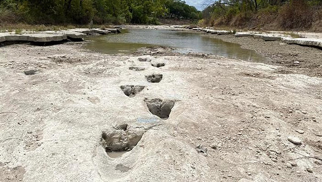 Trilha com pegadas de dinossauros encontrada esta semana no Dinosaur Valley Park State, no Texas. Crdito: Divulgao Dinosaur Valley Park Stat 
