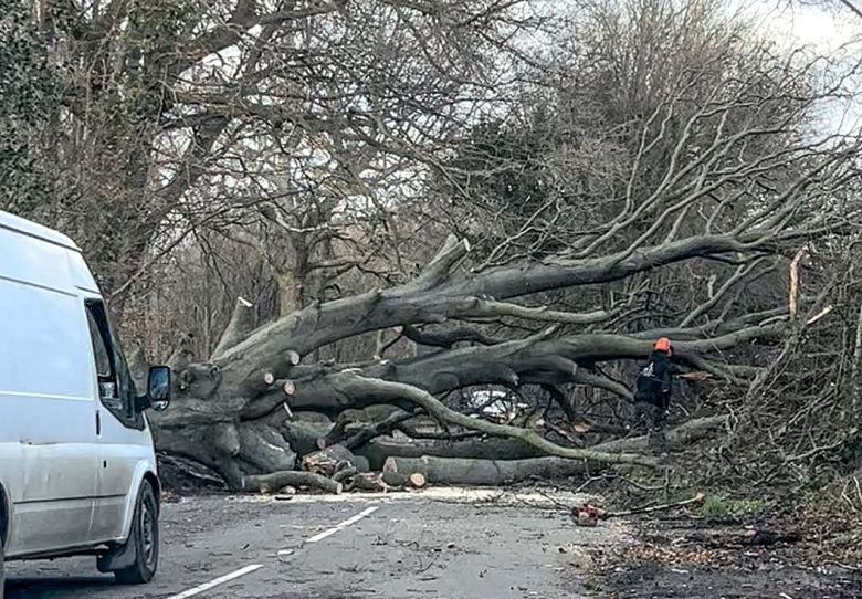 Árvore arrancada pela força dos ventos de Eunice no sul da Inglaterra. A tempestade provocou ventos de quase 200 km/h em áreas do Reino Unido. Crédito: Foto divulgada pelo twitter @StormChaserLiam